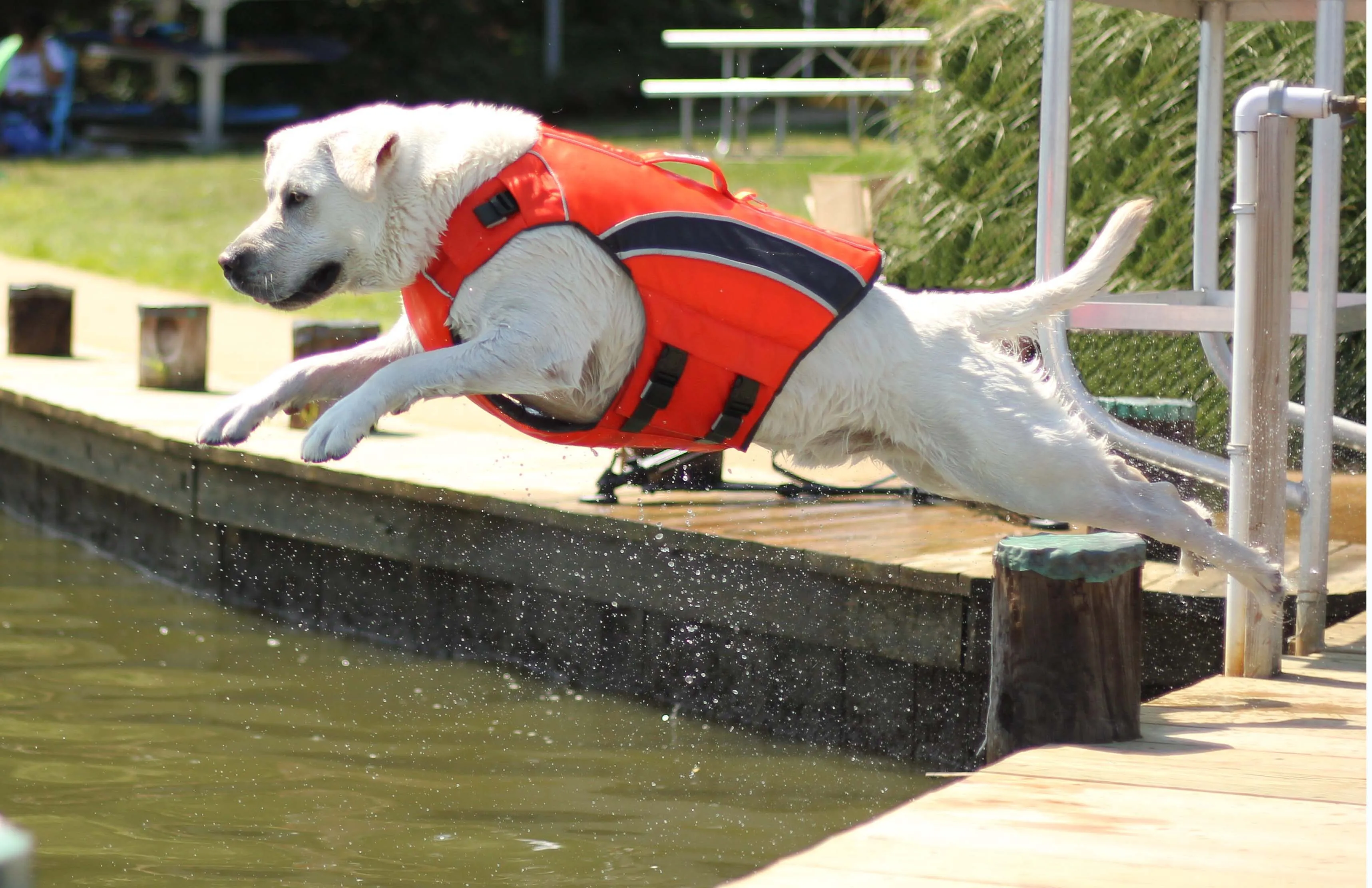 Monterey Bay Life Jacket