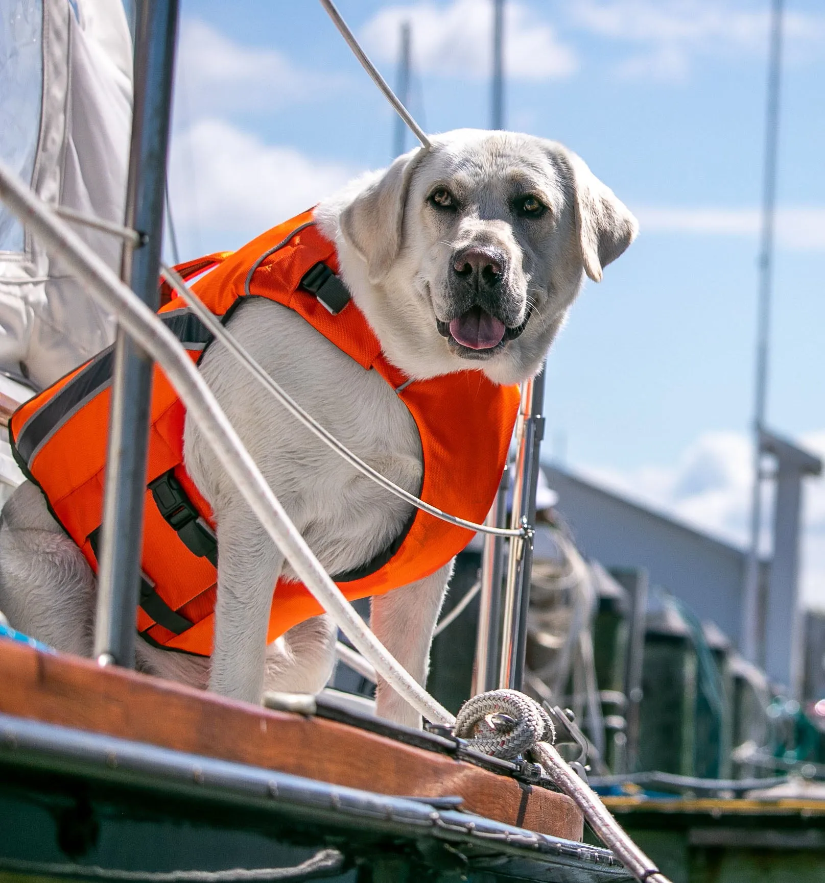 Monterey Bay Life Jacket